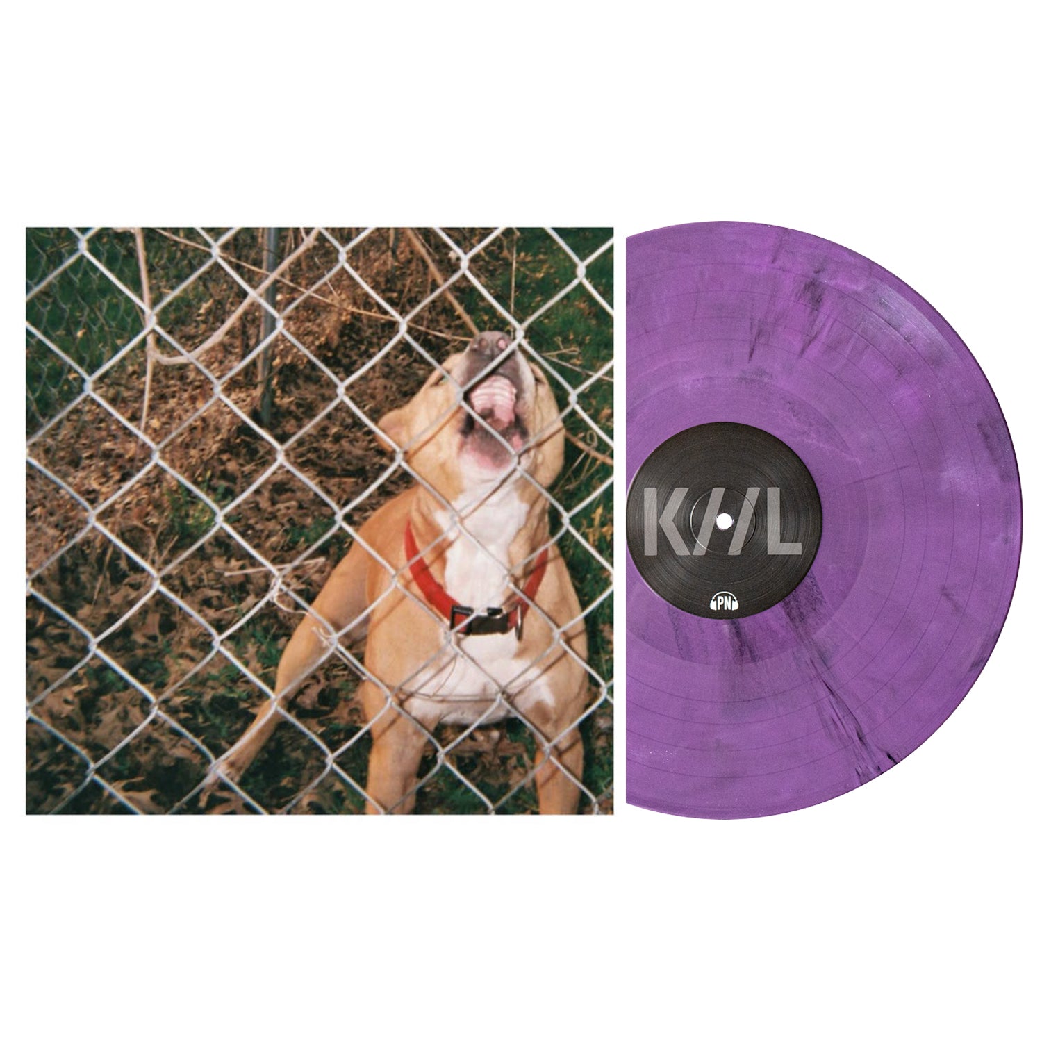 Pop Culture - Lavender Eco-Mix LP - Pure Noise Records
