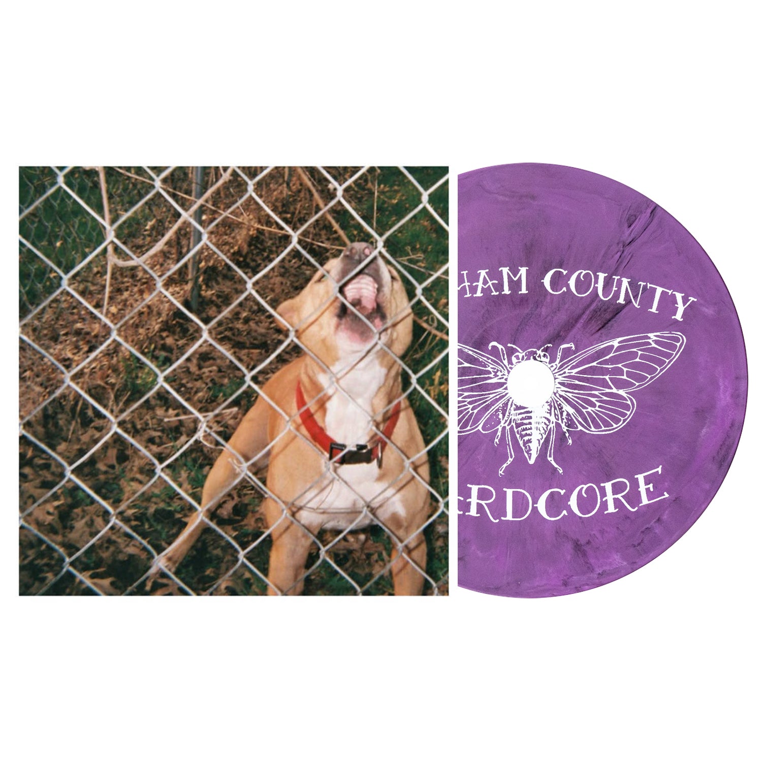 Pop Culture - Lavender Eco-Mix LP - Pure Noise Records