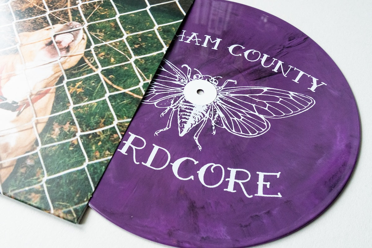 Pop Culture - Lavender Eco-Mix LP - Pure Noise Records