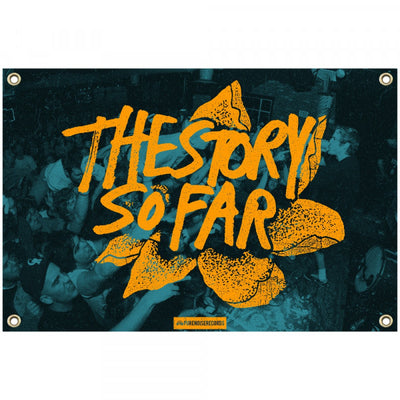 Live - Wall Flag