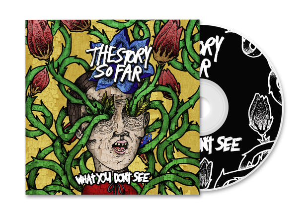 What You Don't See - CD